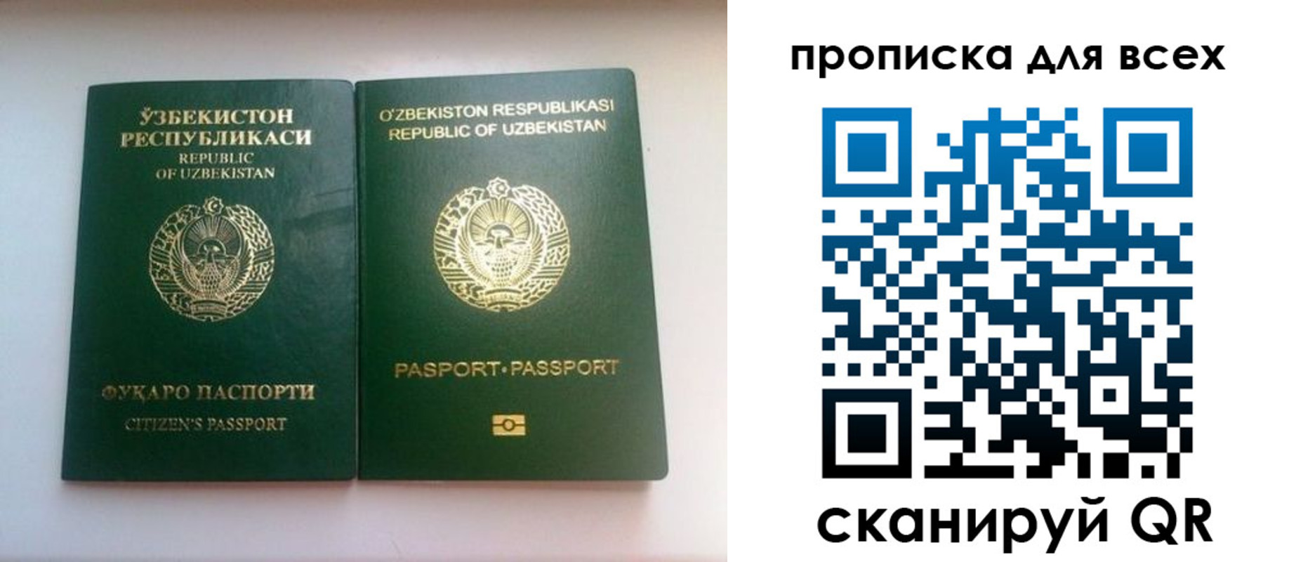 прописка для школы в Тарко-Сале